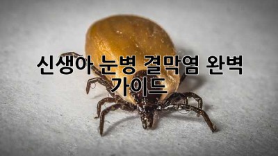 신생아 눈병? 결막염 완벽 가이드!
