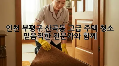 인천 부평구 산곡동 고급 주택 청소: 믿음직한 전문가와 함께