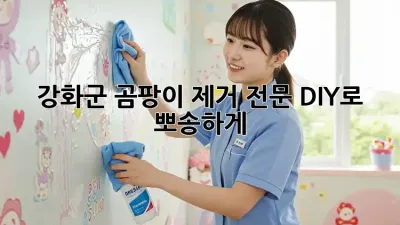 🏡 강화군 곰팡이 제거 전문, DIY로 뽀송하게! ✨