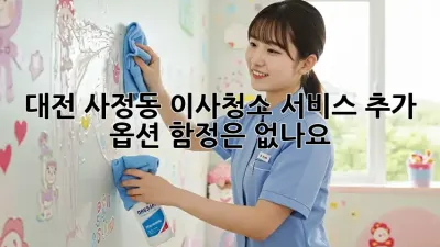 대전 사정동 이사/청소 서비스 추가 옵션, 함정은 없나요?